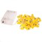 Elegani Super Pack-20 LED Bee String Lights - Warm White Indoor Micro Dot Fairy Lights PH-PDQ-20L - alternate 1