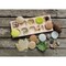 Yellow Door Let's Investigate - Nature, Set of 8 Stone Figures YUS1197 - alternate 3