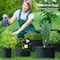 Ipower 7-Gallon Grow Bag Thickened Nonwoven Fabric Pots, Black w/ Green Stitch Sewing, 5PK GLGROWBAG7X5EGRN - alternate 5