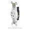 Leviton PlugsandRcptcls, 20A, 125VAC, Gry, Nylon, PK1 W5361-GY - alternate 2