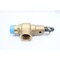 Kunkle BRONZE THREADED RELIEF VALVE 968 SCFM 50PSI 2IN NPT 6010HHM01AKM - alternate 6