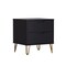 Manhattan Comfort Avira 20 in Nightstand in Black (2-Drawer) NS1721-BK - alternate 3