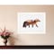 Homeroots Arctic Red Fox 1 White Framed Print Wall Art 405090 - alternate 4