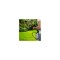 Spectracide Insect Killer, Liquid, Spray Application, Landscape, Lawn, 32 fl-oz Pale Yellow HG-55829-5 - alternate 7