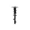Fcs Struts Suspension Strut And Coil Spring Assembly 1334079R - alternate 1