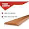 Mytee Products 66 inx6 inx3/4 in Bucket Cutting Edge for Skid Steer & Loader - 16Mn Steel BCEB-SB-66634 - alternate 5