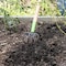 Ames 4-Tine Cultivator, Forged Steel, Hardwood Handle, Cushion Grip 2853600 - alternate 5