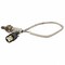 Motorcraft Oxygen Sensor,  DY1173 - alternate 4