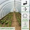 Farm Plastic Supply Protective Clear Overwintering Plastic Film, 6 Mil Clear Plastic Film, 6 Mil, 6ftx100ft Z-Protective-4012 - alternate 6
