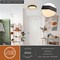 Vaxcel Diversey 15.75-In. LED Flush Mount Ceiling Light, Textured Black, Frosted White Shade C0364 - alternate 7