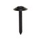 Auveco #6 x 1in Phillips Oval Head Ab Tapping Sems - Black Phosphate, 100PK 11786 - alternate 1