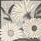 Homeroots 6' Beige And Gray Floral Indoor Outdoor Runner Rug 564005 - alternate 5