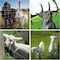 Wrightmaster 4 ft. x 164 ft. 13-Gauge Heavy Zinc Coating Wire Mesh Fence for Chicken Coop and Animal Protection ZR-P270215 - alternate 4