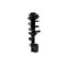 Fcs Struts Suspension Strut And Coil Spring Assembly 1334012R - alternate 1