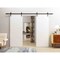Vdomdoors Modern Double Barn Door 48" x 80" inches / Mela 0755 Painted White / 13FT Rail Track Set / Solid Pa MELA0755DB-BEM-48 - alternate 1