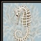 Homeroots Coral Seahorse II 3 Black Framed Print Wall Art 407598 - alternate 3
