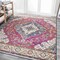 Jonathan Y Bohemian FLAIR Boho Vintage Medallion Fuchsia/White 4 ft. x 6 ft. Area Rug BMF106C-4 - alternate 2