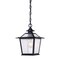 Homeroots Matte Black Terrarium Shape Hanging Light 398031 - alternate 4