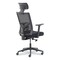 La-Z-Boy Mesh Back Molded Foam Task Chair, Supports Up to 275 lb, Black Seat/Back 60021 - alternate 12