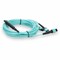 Add-On Addon 1M Mpo (Female) To 2Xmpo (Female) 12-Strand Crossover Aqua Om4 ADD-MPO-2MPO1MOM4 - alternate 3