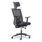 La-Z-Boy Mesh Back Molded Foam Task Chair, Supports Up to 275 lb, Black Seat/Back 60021 - alternate 13