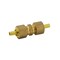 Proline Series Brass 1/4-in COMP x 1/4-in COMP Union CP-10NLB - alternate 1
