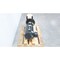Grundfos VLS VERTICAL IN-LINE CENTRIFUGAL PUMP 17-40959-630268-1821P 99851784 - alternate 3