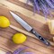 Martha Stewart Everyday 5 Inch Stainless Steel Utility Knife in Dark Gray with Wood Handle 128770.01 - alternate 2