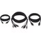 Eaton EATON Tripp Lite Series DisplayPort KVM Cable Kit - DP, USB, 3.5 mm Audio 3xM/3xM + USB M/M + DP P783-010-DPU - alternate 4
