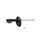 Kyb Gas Strut,  339136 - alternate 4