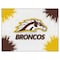 Holland Bar Stool Co Western Michigan University 24"x32" Canvas Wall Art LCnvs2432WestMI - alternate 1