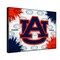 Holland Bar Stool Co Auburn University 24"x32" Canvas Wall Art LCnvs2432Auburn - alternate 2
