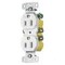 Hubbell Wiring Device-Kellems Straight Blade Receptacle, 5-15R, 15 A, 125V AC, 2 Pole, 3 Wire, Surface Mount, Grounded DR15STTR - alternate 4