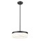 Z-Lite Renaud Matte Black 1 Light Pendant 827P13-MB-LED - alternate 6