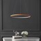 Jonathan Y Brice 23.75" Modern Contemporary Metal Round Dimmable Integrated LED Pendant, Orange JYL7203G - alternate 7