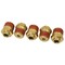 Mytee Products DOT Brass Push to Connect Fitting, Air Brake Connector-Male Straight 3/8in Tube OD x 1/2in NPT 5PK MP-ABF-ST3812 - alternate 5