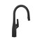 Blanco Rivana Pull-Down 1.5 GPM, Matte Black 443020 - alternate 1