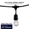 Bulbrite 14 ft, 10-Socket Decorative Kit with Clear Incandescent STRING10/E26/BLACK-S14KT Indoor and Outdoor 810006 - alternate 2