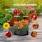 Ipower Plant Grow Bag 5 Gallon Heavy Duty Fabric Pots, 300g Thick Nonwoven, Black 2024 Version, 6PK GLGROWBAG5X6BLK - alternate 3
