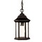 Homeroots Antique Black Textured Glass Lantern Hanging Light 399189 - alternate 1