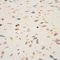 Apollo Tile Terraforma 12x24 in. Beige Textured Terrazzo Large Wall Tile (7.75 sq ft/case) 4PK TRZ88MLTARL1224 - alternate 6