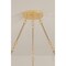 Corbett Lighting Naxos 18 Light Chandelier in Vintage Gold Leaf Finish 552-42-VGL - alternate 5