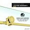 Anzzi Madam Series 48'' by 76'' Frameless Sliding Shower Door in Brushed Gold W/Clear Glass SD-AZ13-01BG - alternate 5