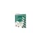 Ledvance/ Sylvania 100 Lt Glass Incandescent Look LED Mini Set. Multi V40501-88 - alternate 1