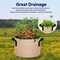Ipower 5 Gallon Tan Grow Bags, Garden Planting Nonwoven Fabric Pots with Reinforced Handle, 5PK GLGROWBAG5X5TANV5 - alternate 5