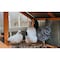 Wrightmaster 48 in. x 50 ft. 19-Gauge Hot-Dip Galvanised Wire Mesh for Houses, Chicken Coops Metal Frame ZR-SZ0753 - alternate 4