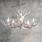 Jonathan Y Eldora 30" 5-Light Rustic Farmhouse Adjustable Resin Antler LED Chandelier, White JYL6300B - alternate 8