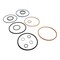 Cnh SEAL KIT, CNH OEM 600474155 600474155 - alternate 5