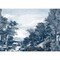 York Wallcoverings Provincial Scenic Navy Wall Mural MU0271M - alternate 1