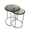 Homeroots Set of Two Clear and Gunmetal Glass and Iron Round Frame Nested Tables 632713 - alternate 6